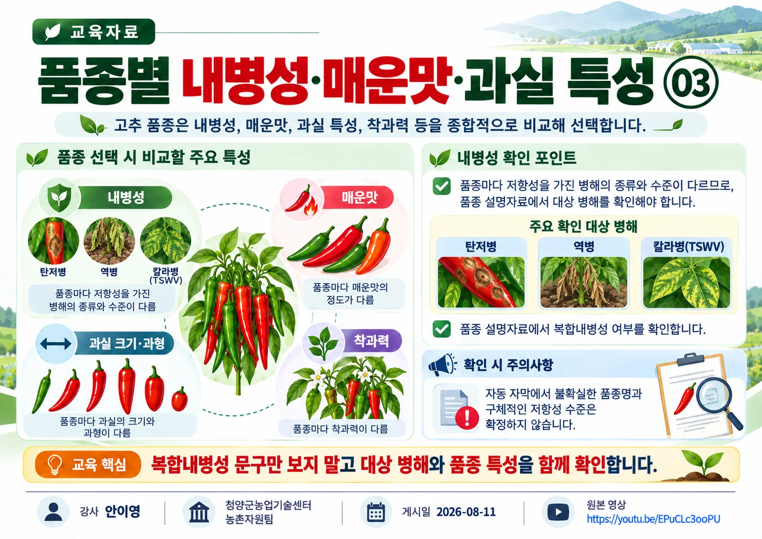 03_품종별_내병성_매운맛_과실_특성.webp