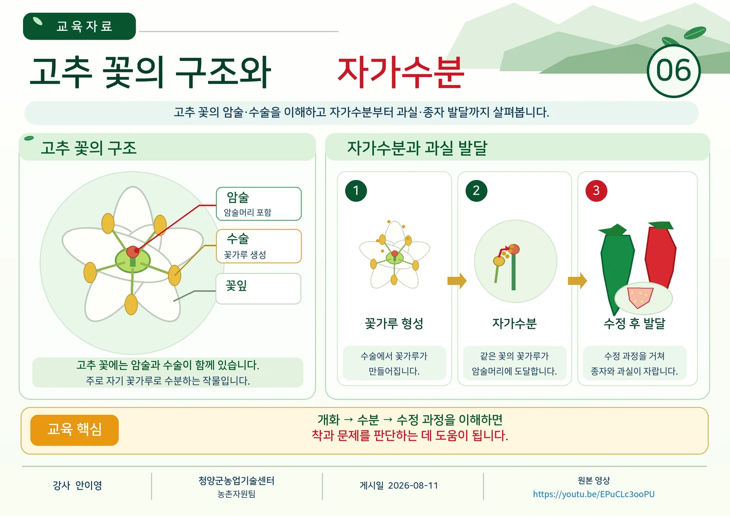 06_고추_꽃의_구조와_자가수분.webp