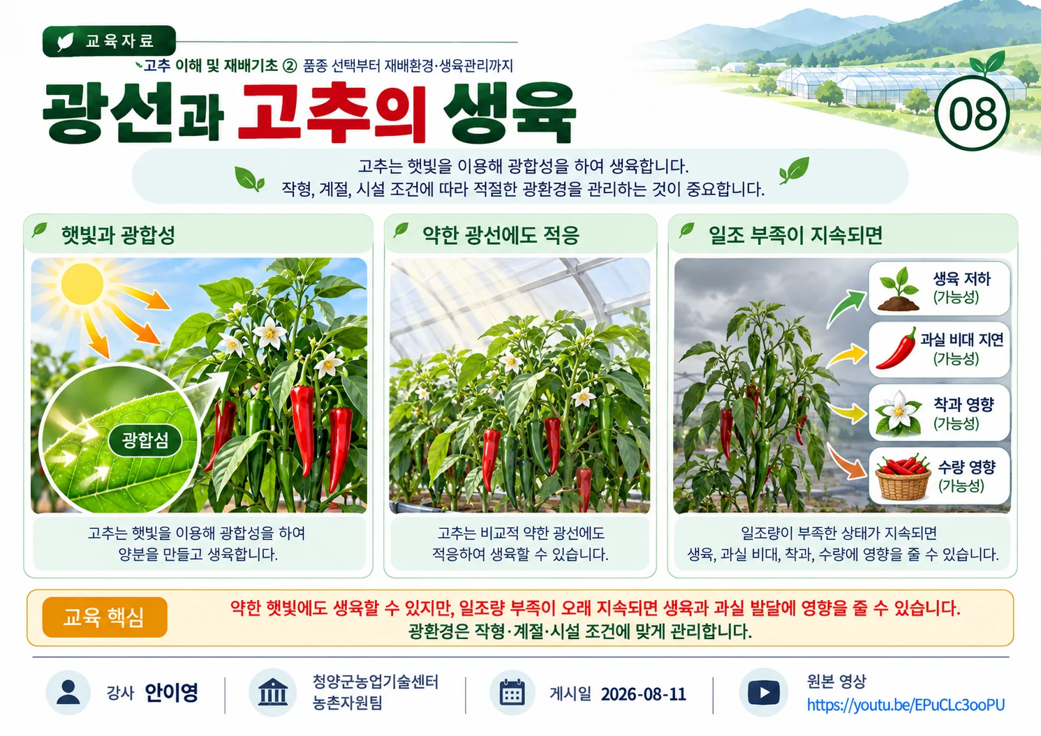 08_광선과_고추의_생육.webp