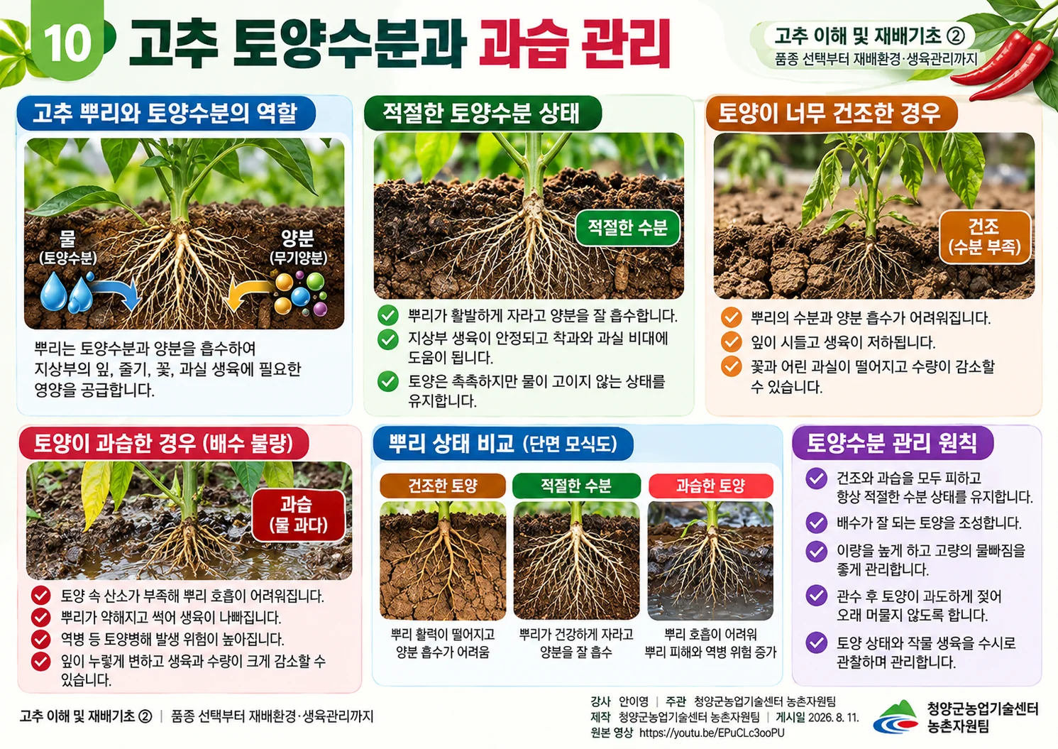 10_고추_토양수분과_과습_관리.webp