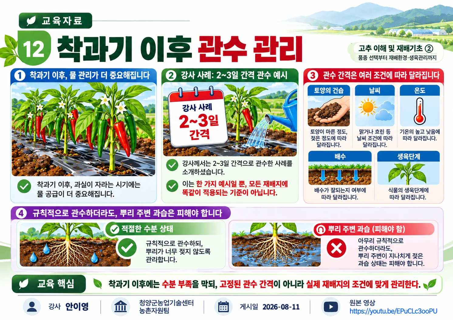 12_착과기_이후_관수_관리.webp