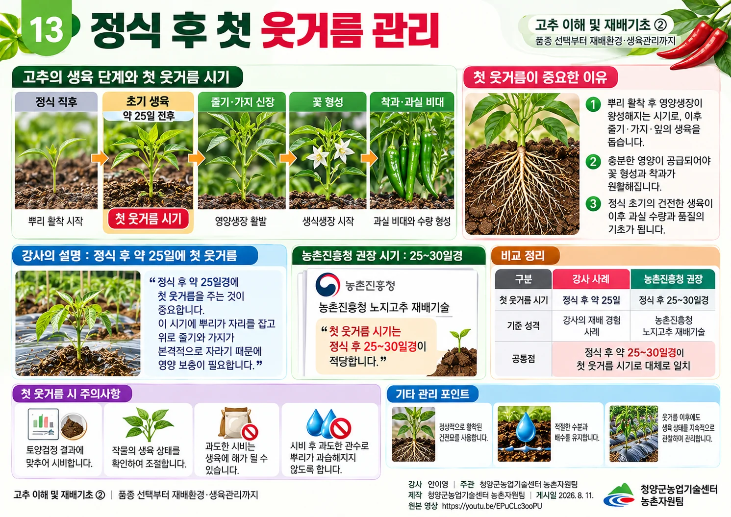 13_정식_후_첫_웃거름_관리.webp