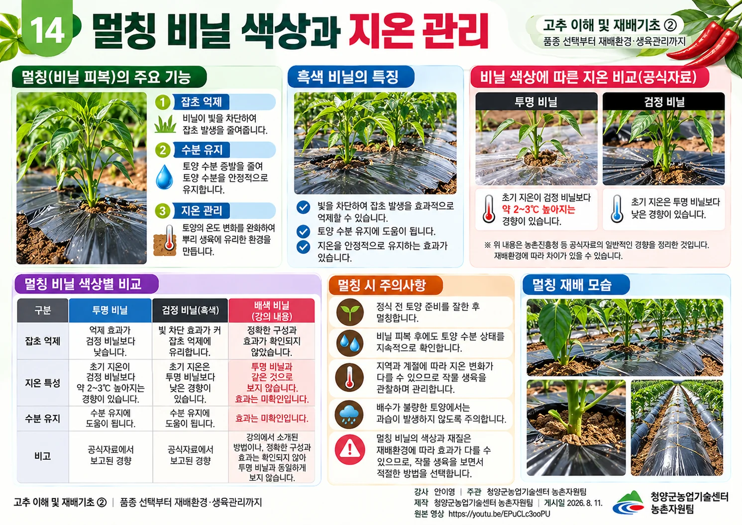 14_멀칭_비닐_색상과_지온_관리.webp