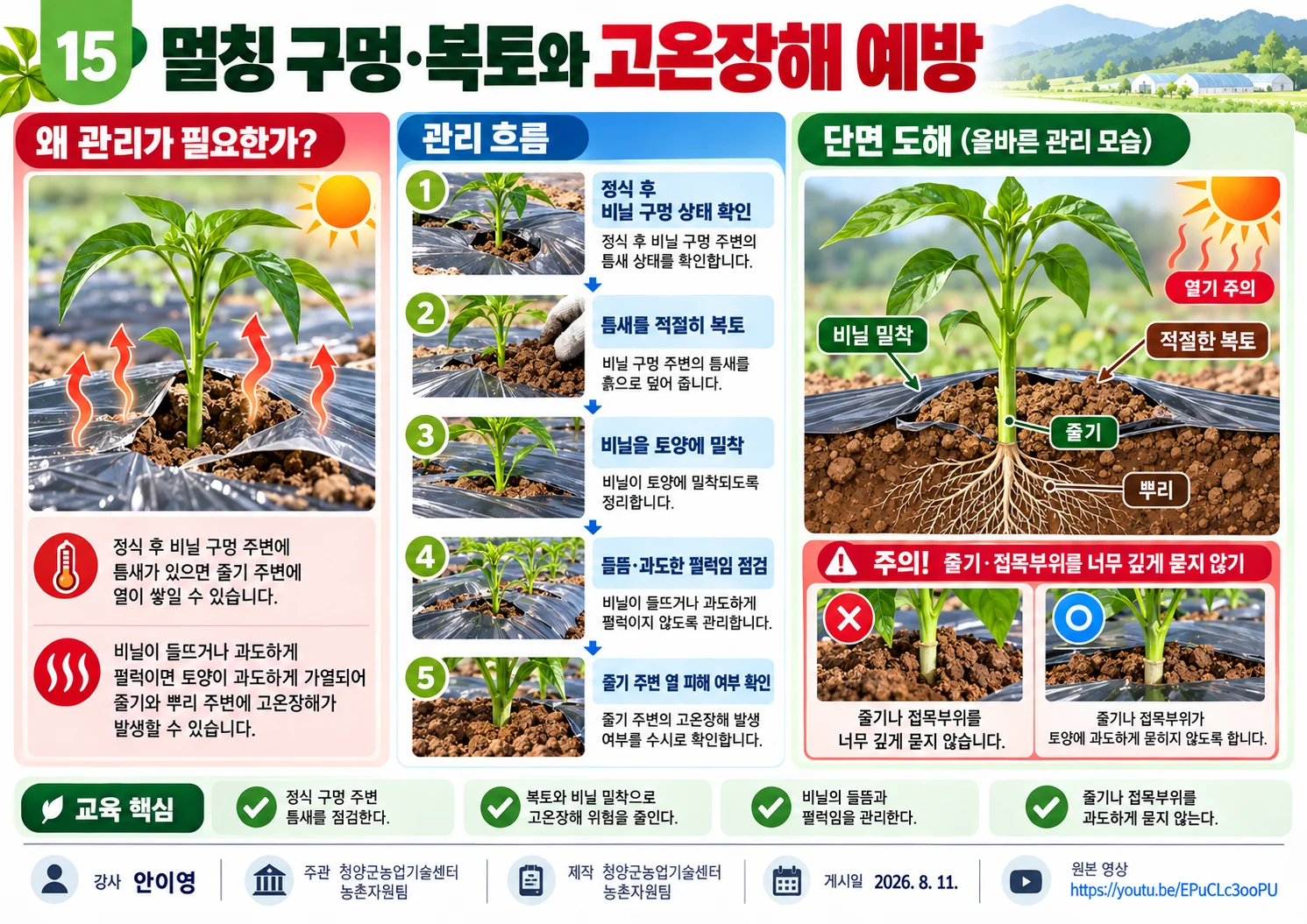 15_멀칭_구멍_복토와_고온장해_예방.webp