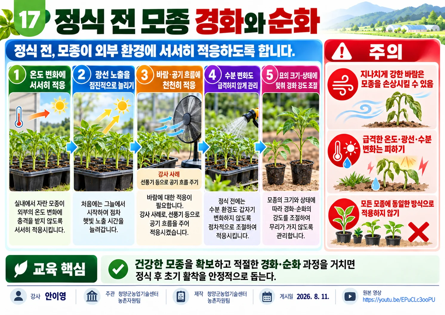 17_정식_전_모종_경화와_순화.webp
