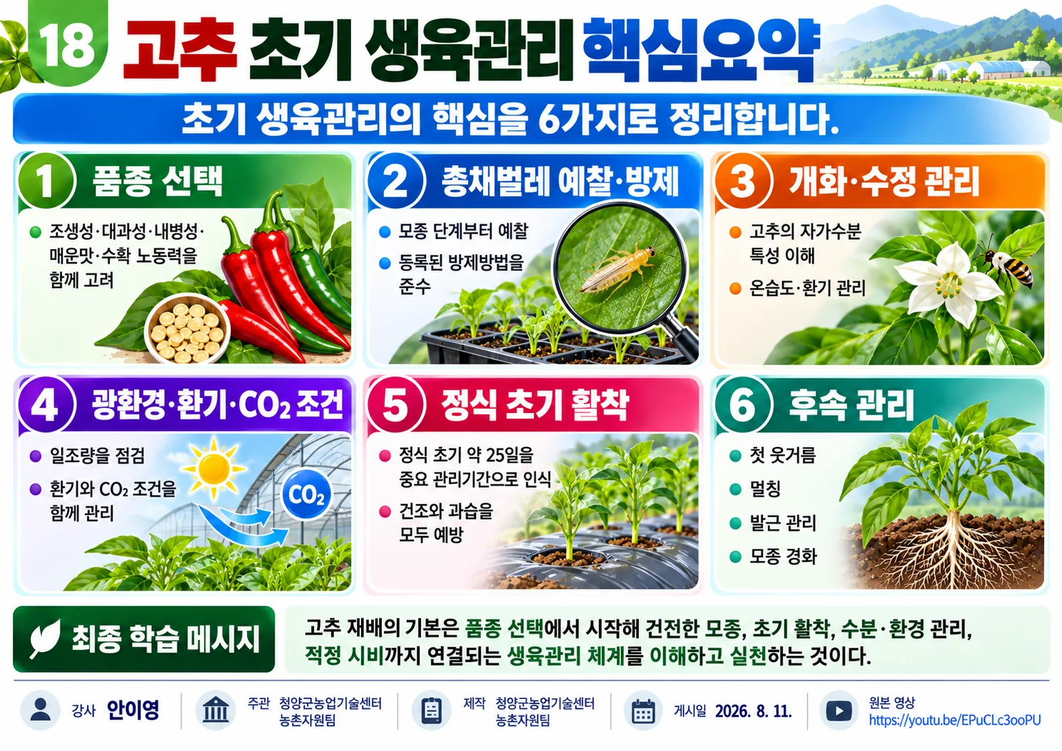 18_고추_초기_생육관리_핵심요약.webp