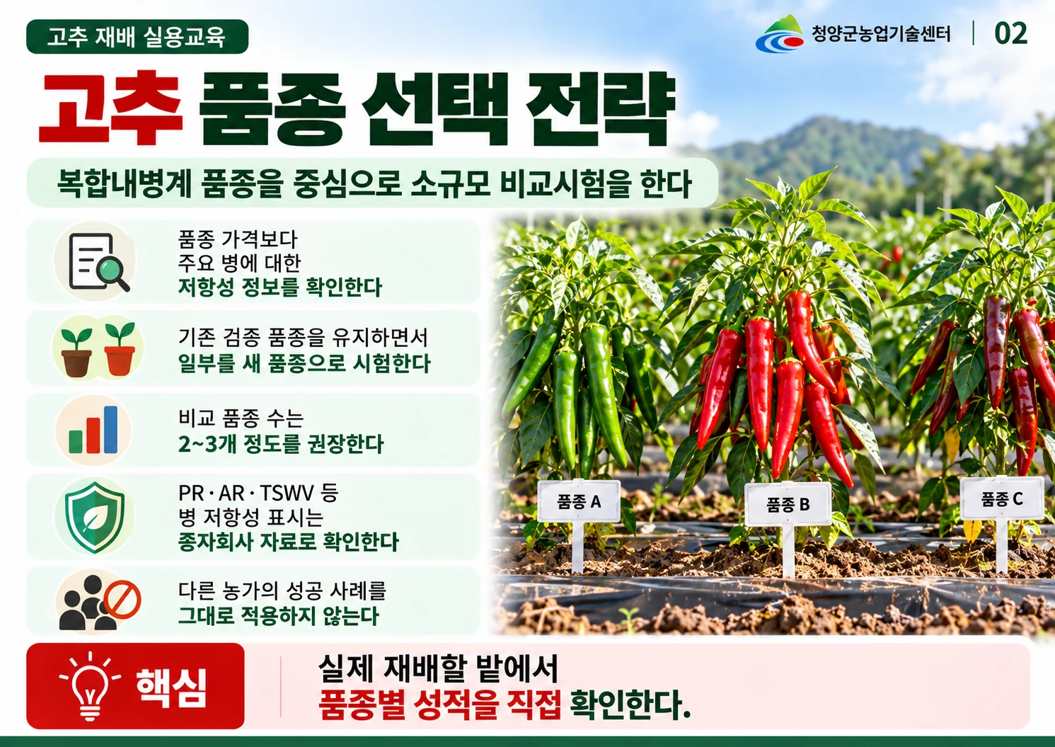 02_고추_품종_선택_전략.webp