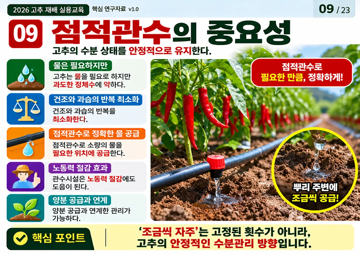 09_점적관수의_중요성.webp