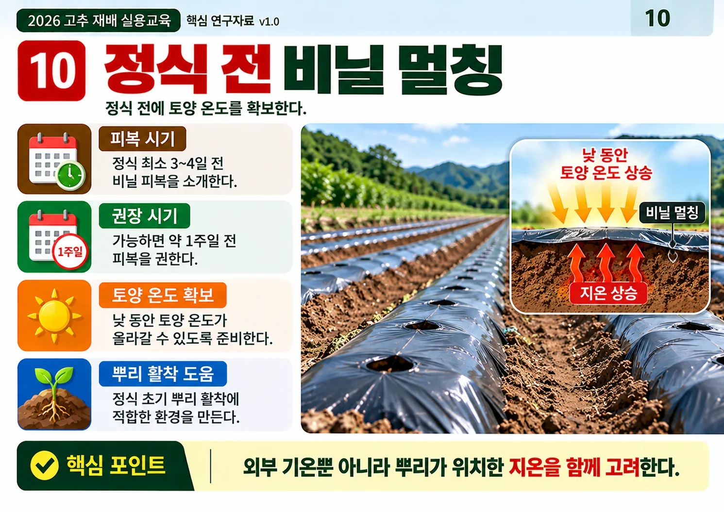 10_정식_전_비닐_멀칭.webp