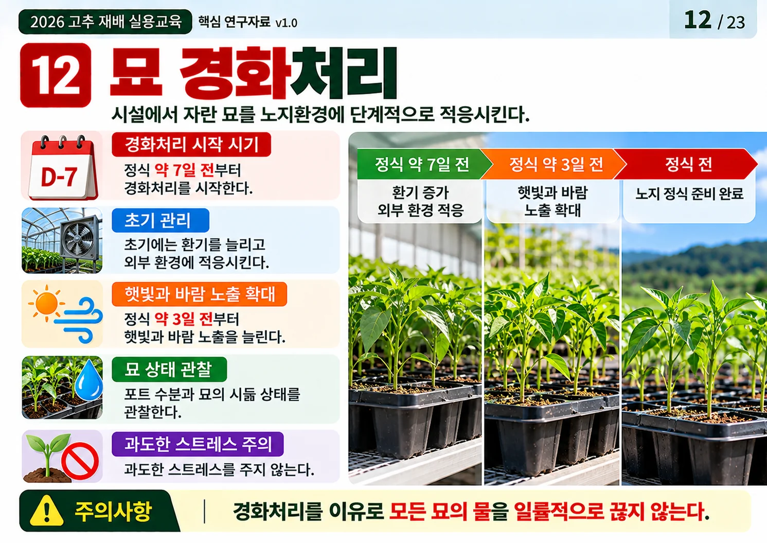 12_묘_경화처리.webp