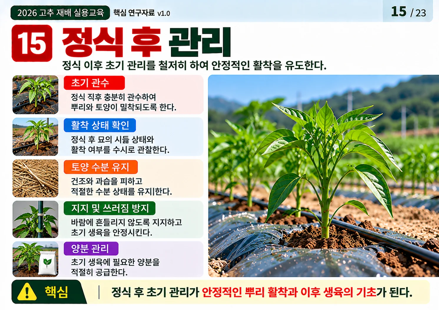 15_웃거름_관리.webp