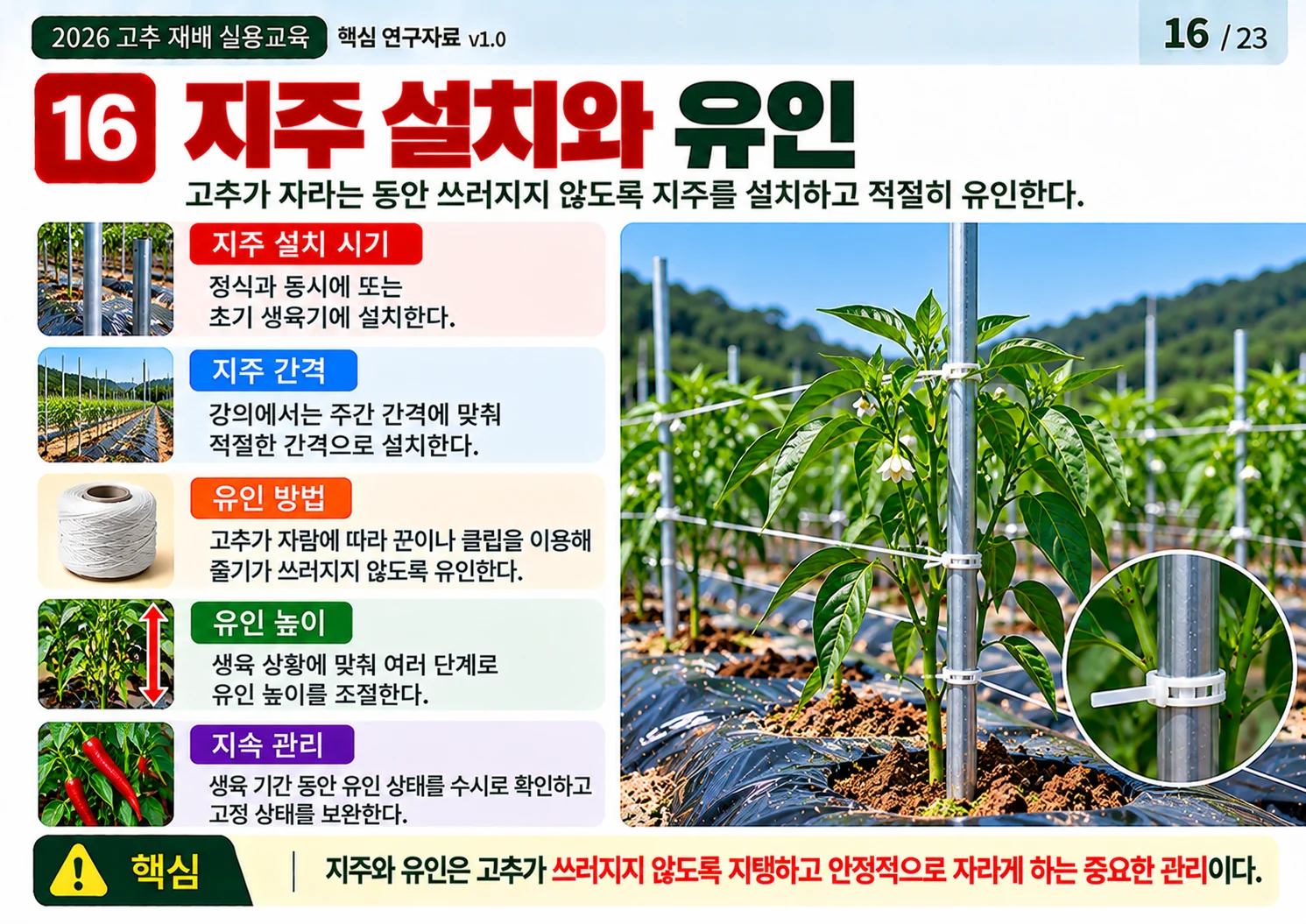 16_칼슘_결핍과_수분_관리.webp