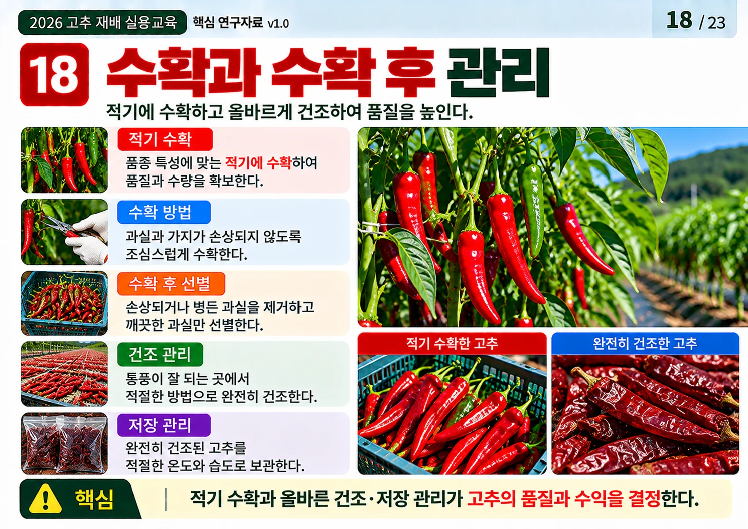 18_바이러스병_관리.webp