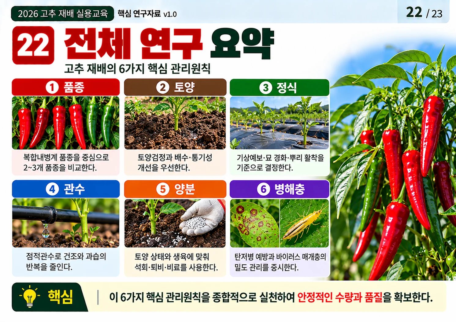 22_전체_연구_요약.webp
