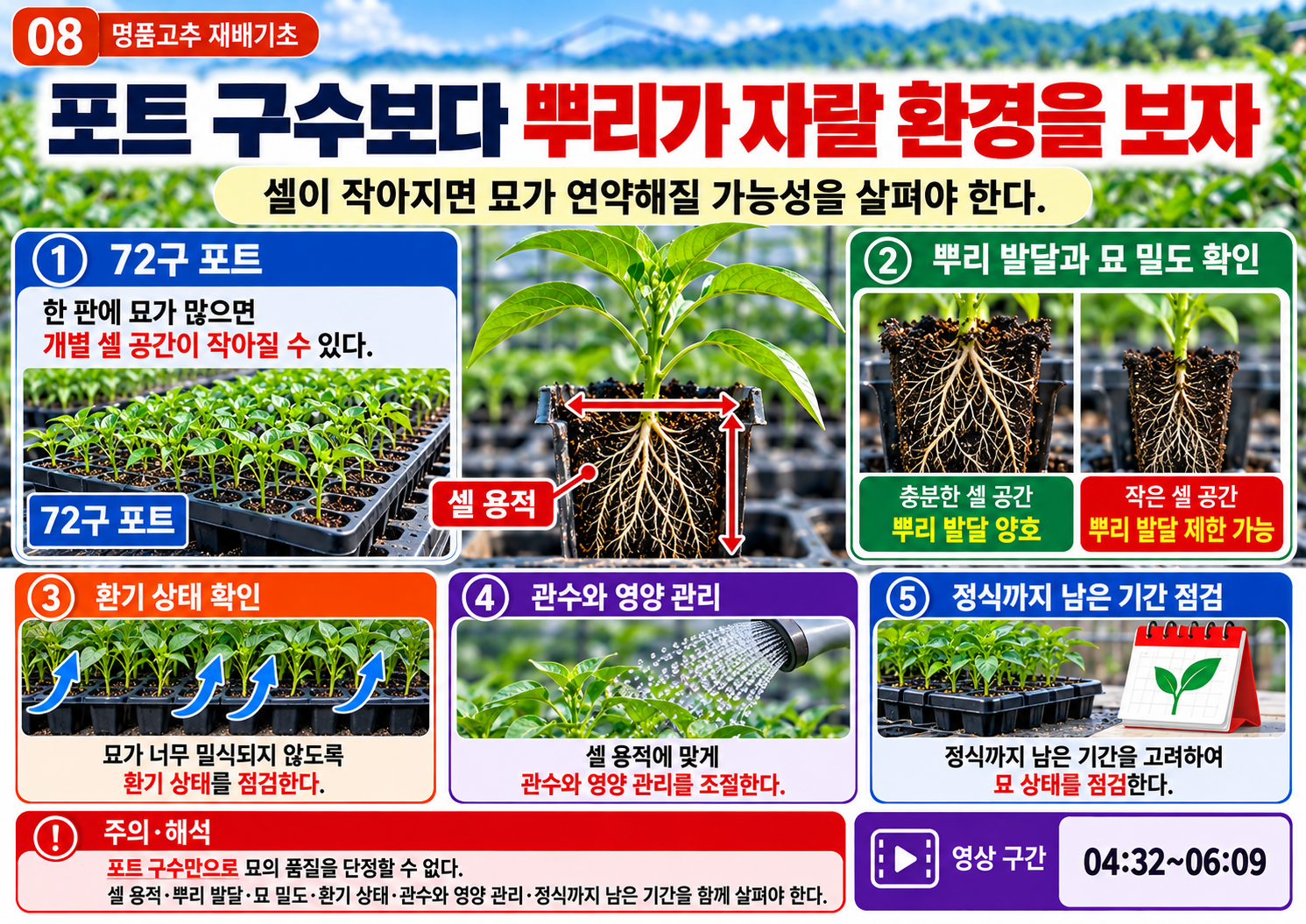 08_육묘포트와_뿌리발달.png