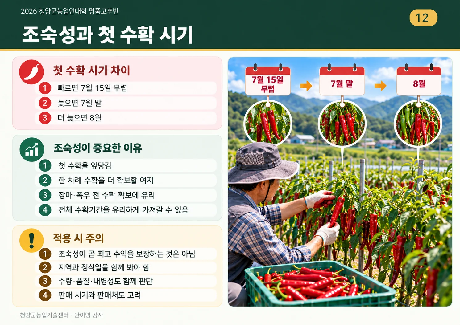 12_조숙성_첫수확의_차이.webp