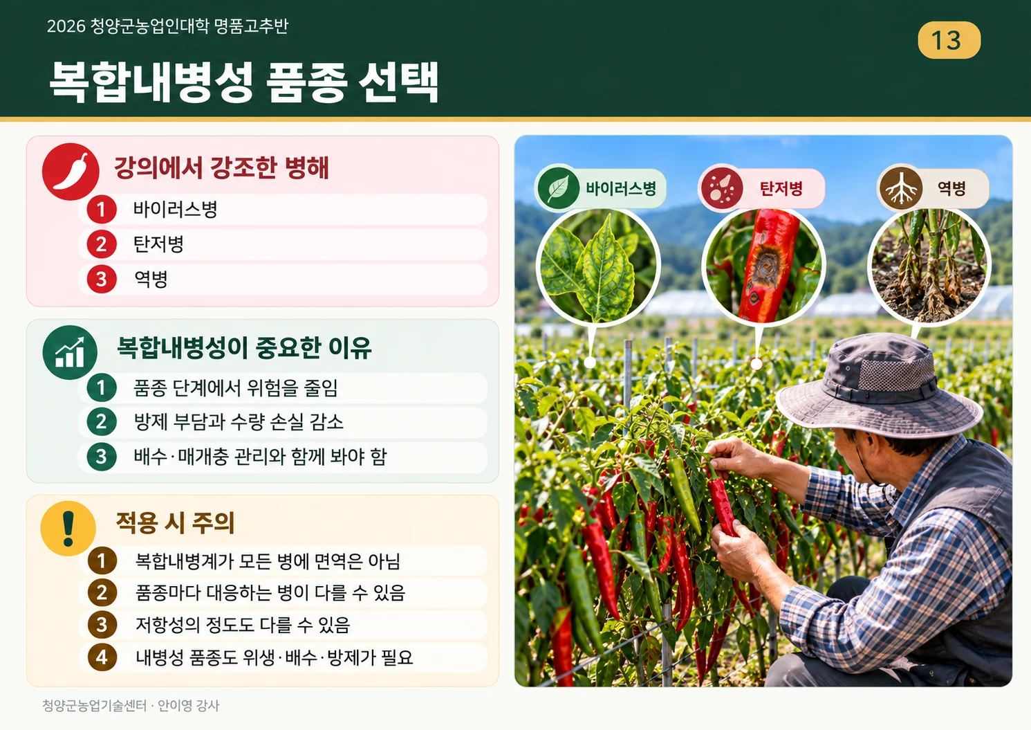 13_복합내병성_품종의_의미.webp