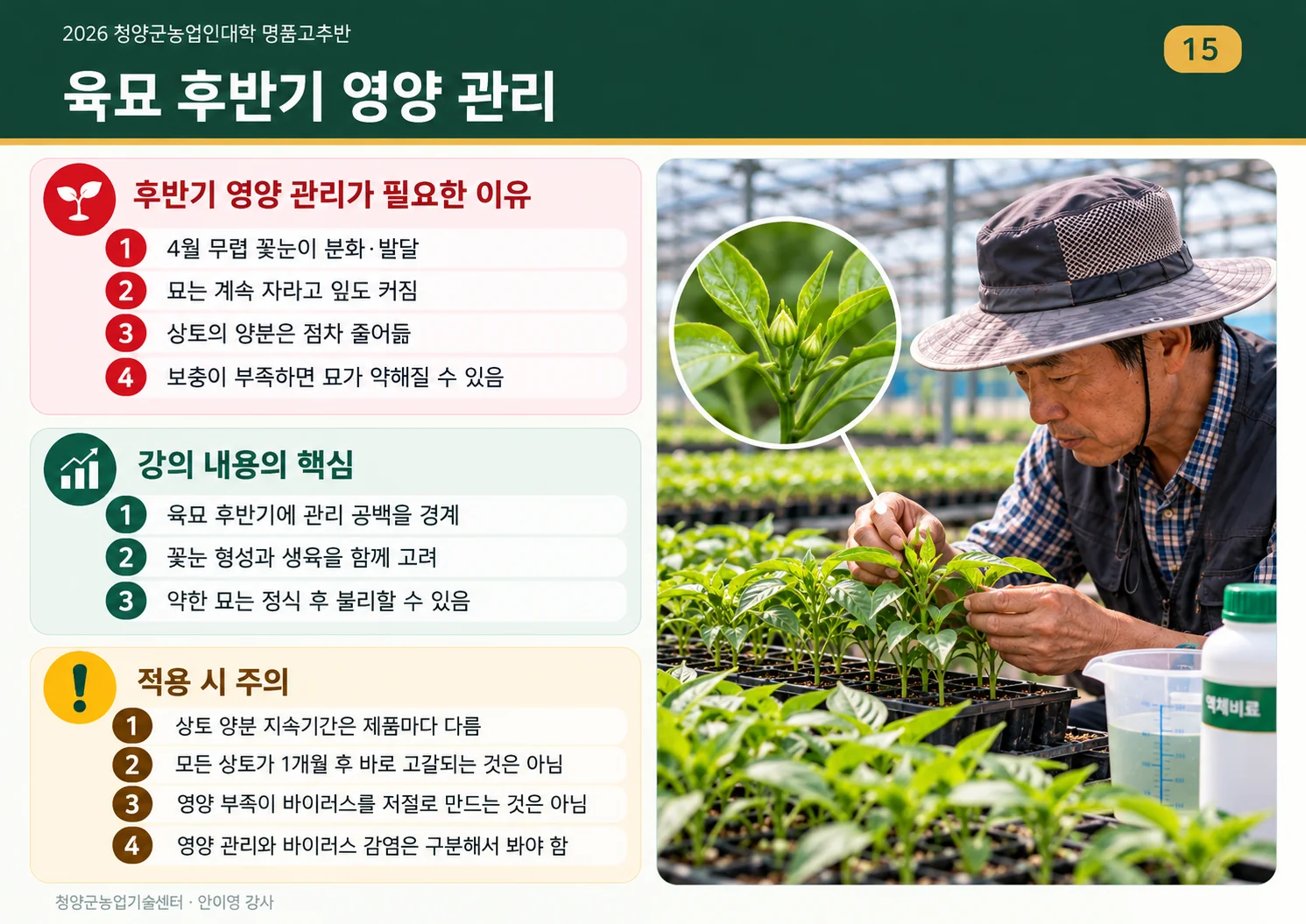 15_육묘후반_영양과_건전성.webp