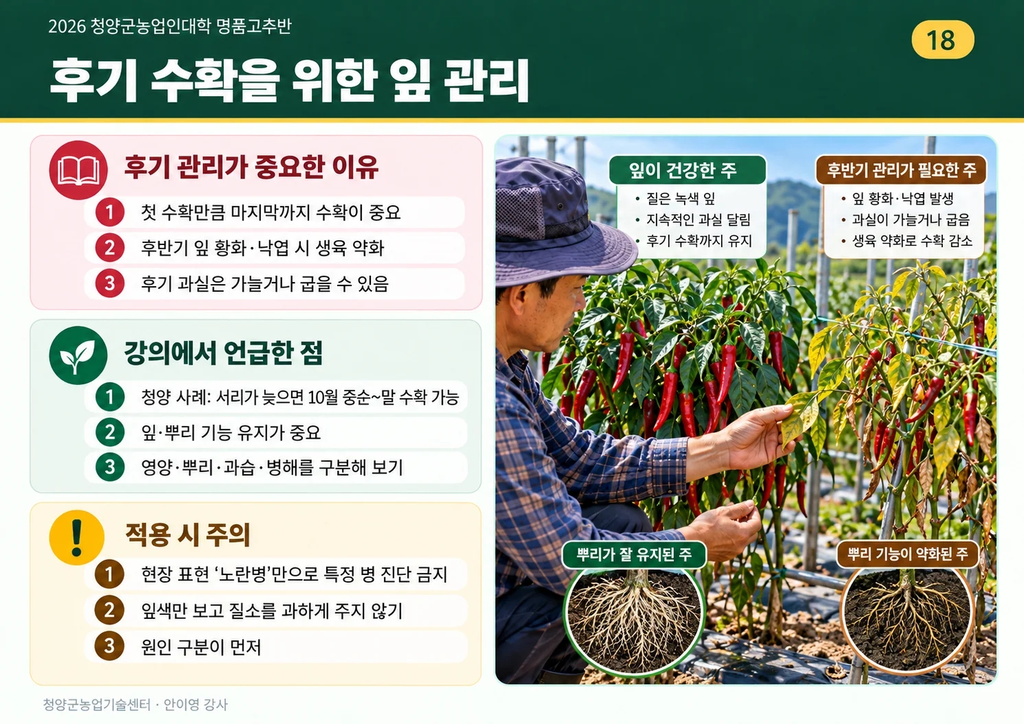 18_후기수확을_위한_잎관리.webp