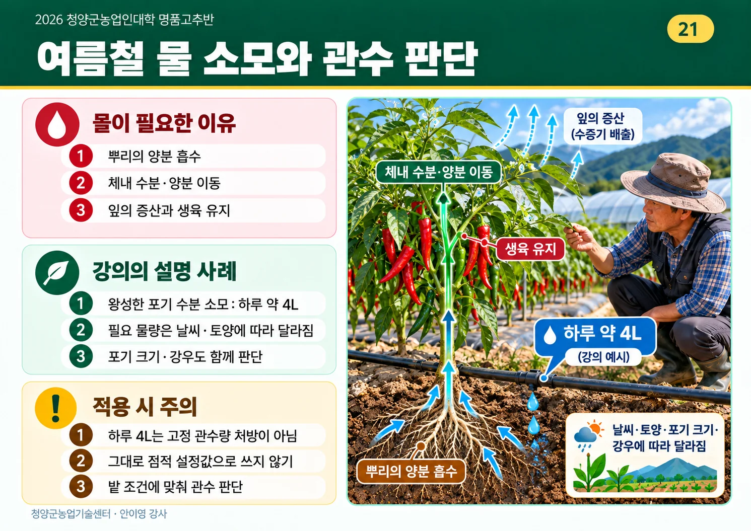 21_여름철_물소모와_관수판단.webp