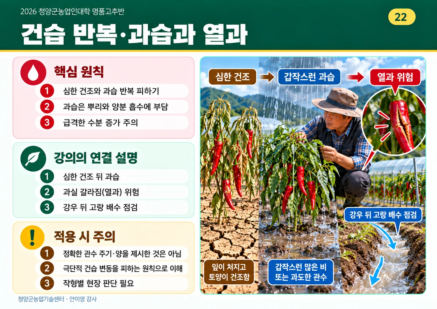 22_건습반복_과습과_열과.webp