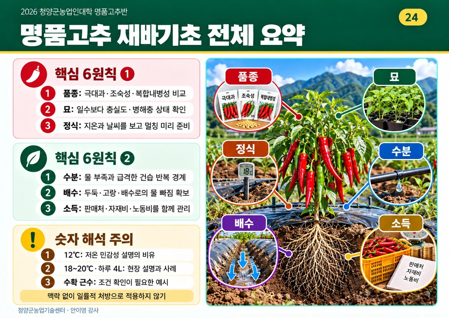 24_명품고추_재배기초_전체요약.webp