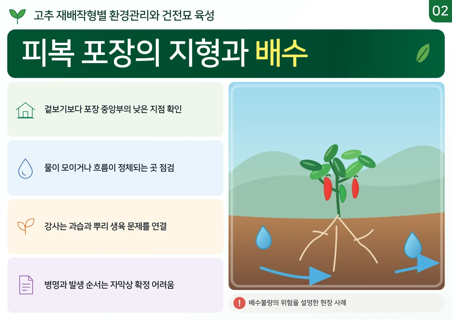 02_피복_포장의_지형과_배수.webp