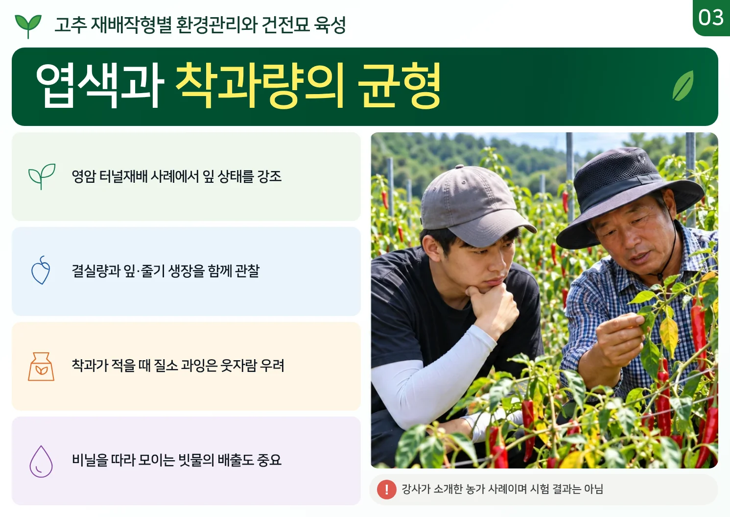 03_엽색과_착과량의_균형.webp
