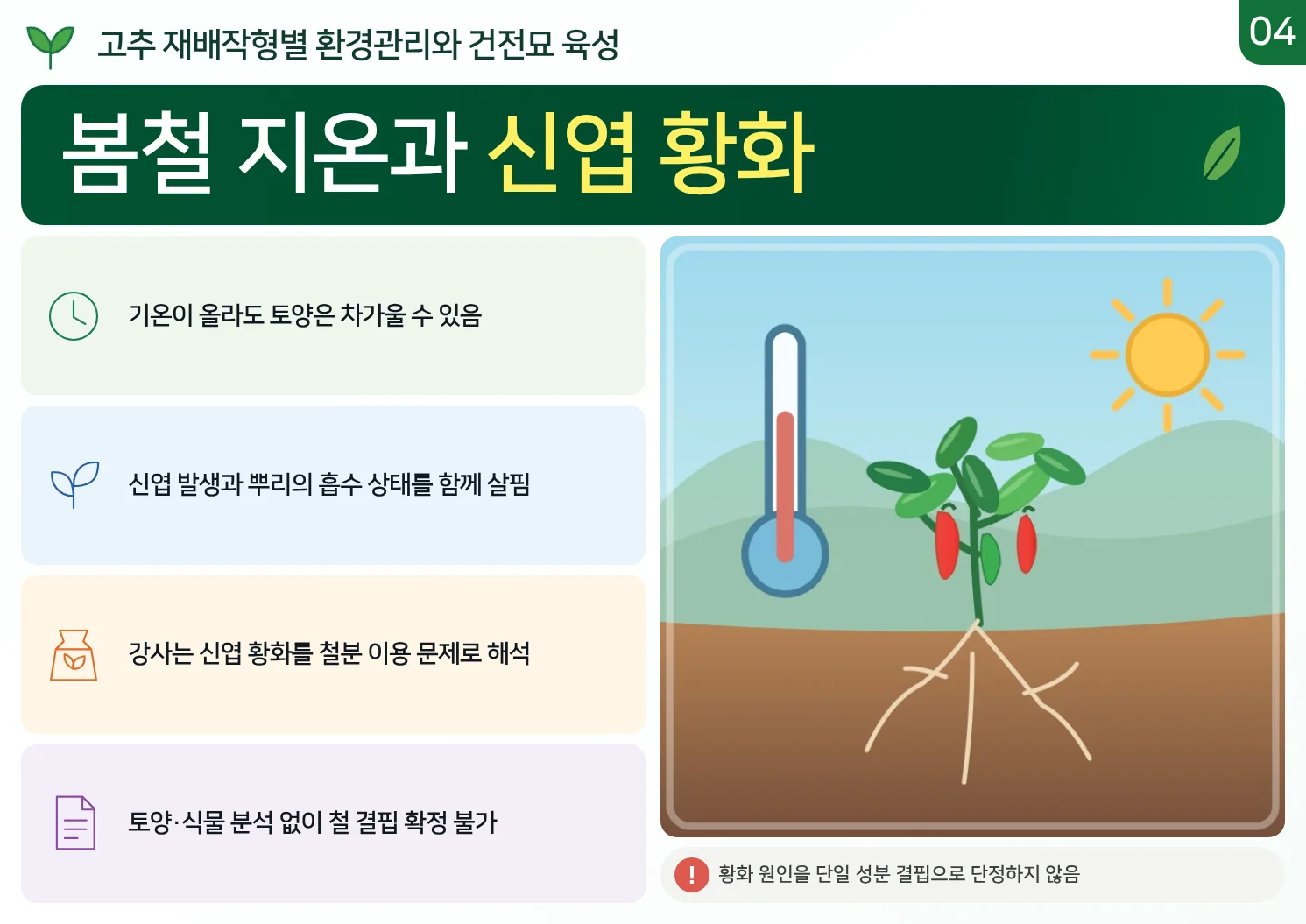 04_봄철_지온과_신엽_황화.webp