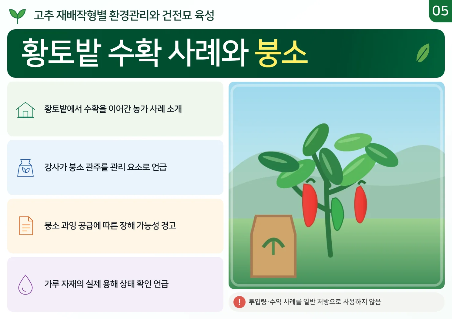 05_황토밭_수확_사례와_붕소.webp