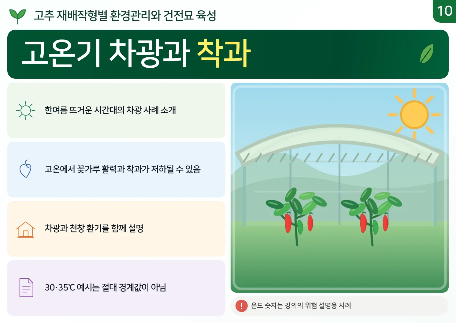 10_고온기_차광과_착과.webp