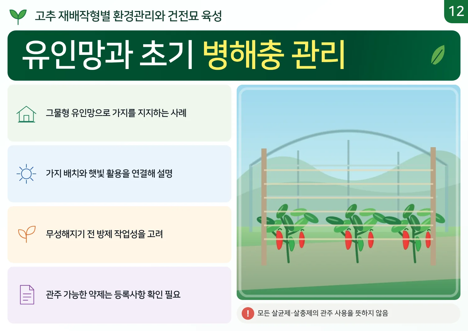 12_유인망과_초기_병해충_관리.webp