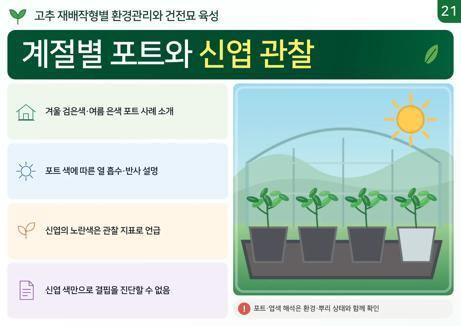 21_계절별_포트와_신엽_관찰.webp