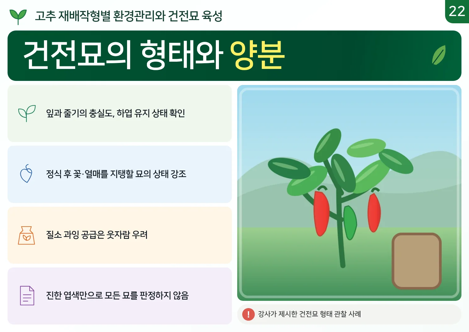 22_건전묘의_형태와_양분.webp