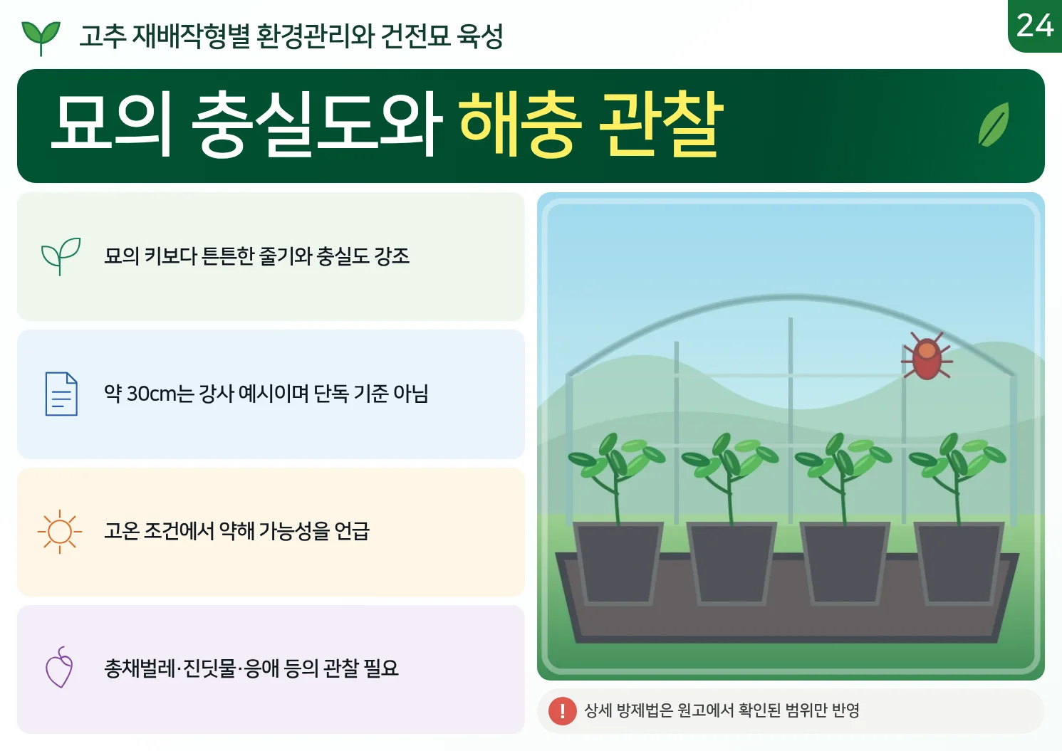24_묘의_충실도와_해충_관찰.webp