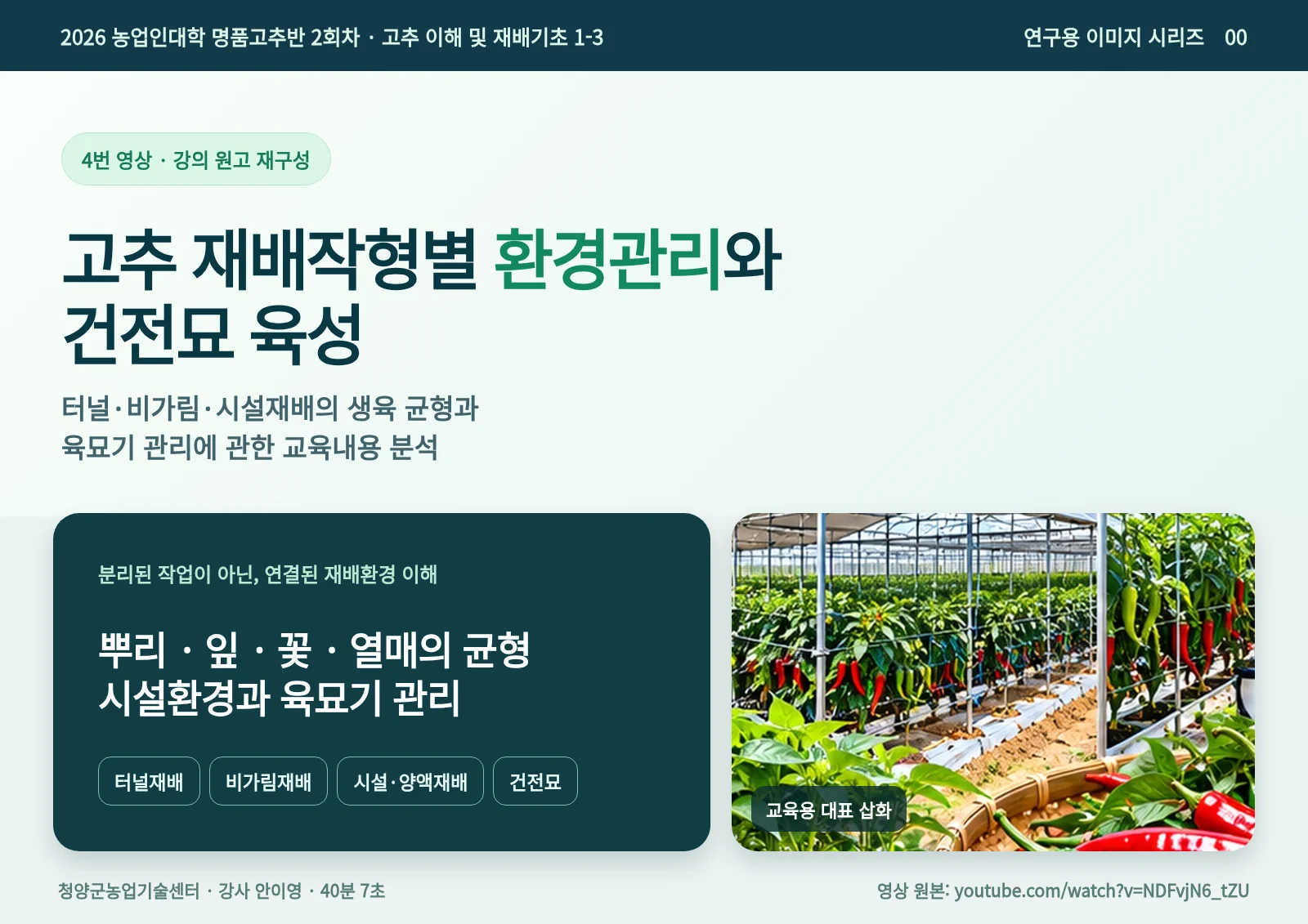00_고추_재배작형별_환경관리와_건전묘_육성.webp