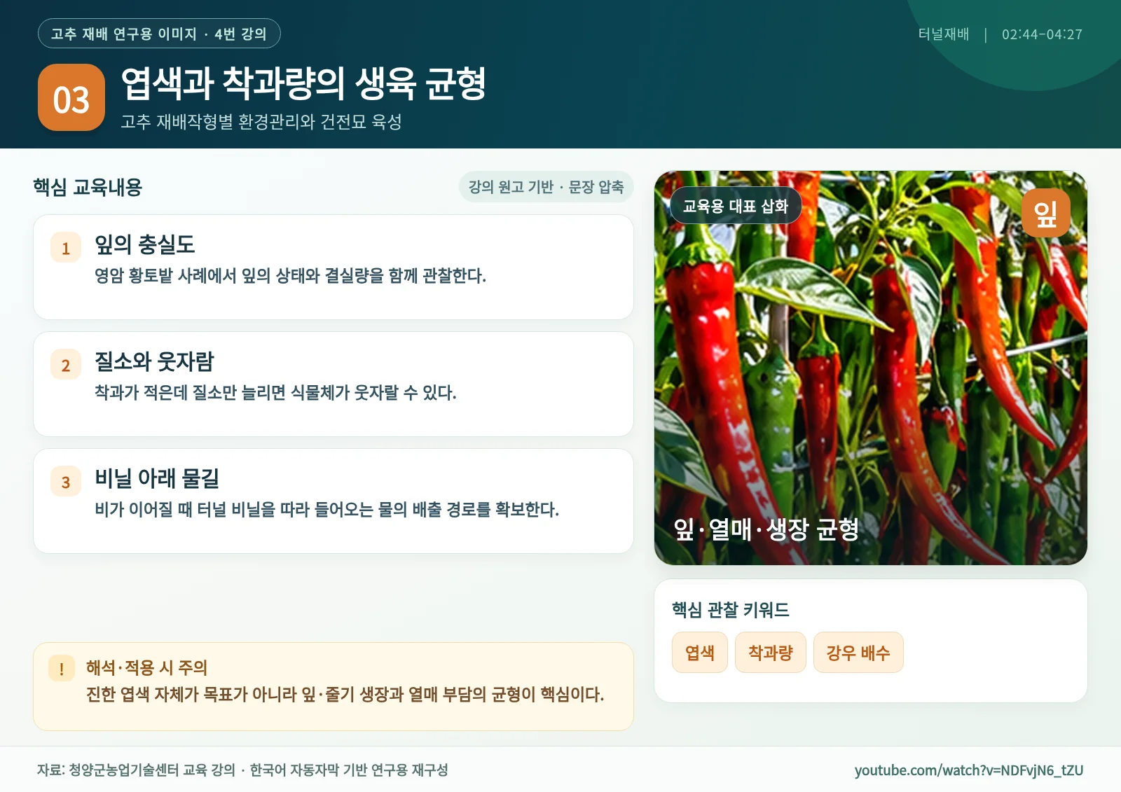 03_엽색과_착과량의_생육_균형.webp