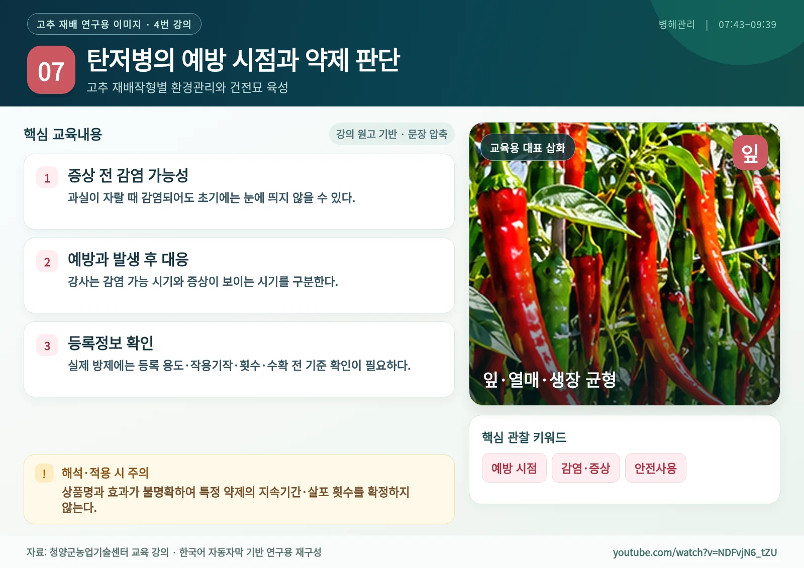 07_탄저병의_예방_시점과_약제_판단.webp