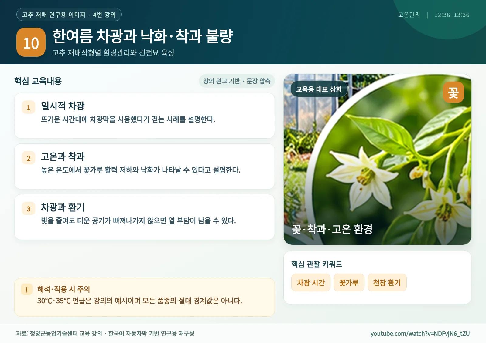 10_한여름_차광과_낙화_착과_불량.webp