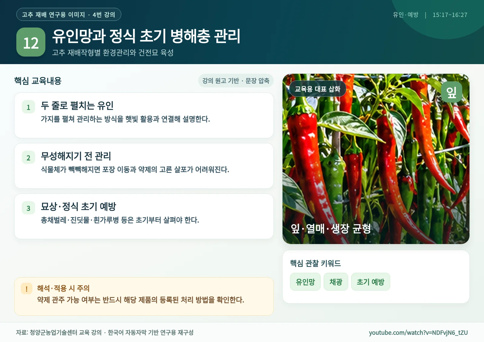 12_유인망과_정식_초기_병해충_관리.webp