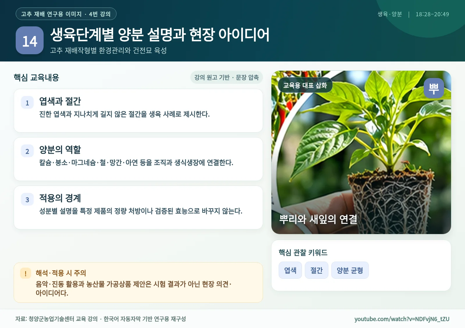 14_생육단계별_양분_설명과_현장_아이디어.webp