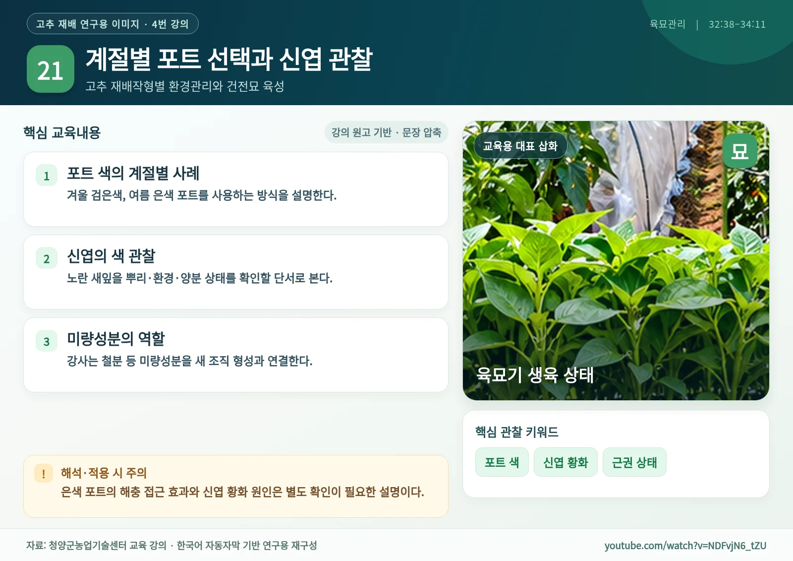 21_계절별_포트_선택과_신엽_관찰.webp
