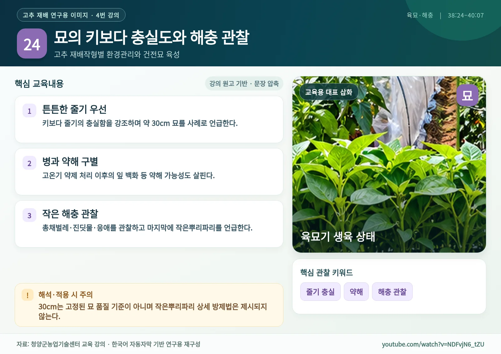 24_묘의_키보다_충실도와_해충_관찰.webp