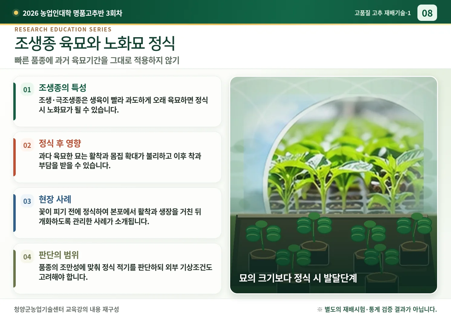 08_조생종_육묘와_노화묘.webp