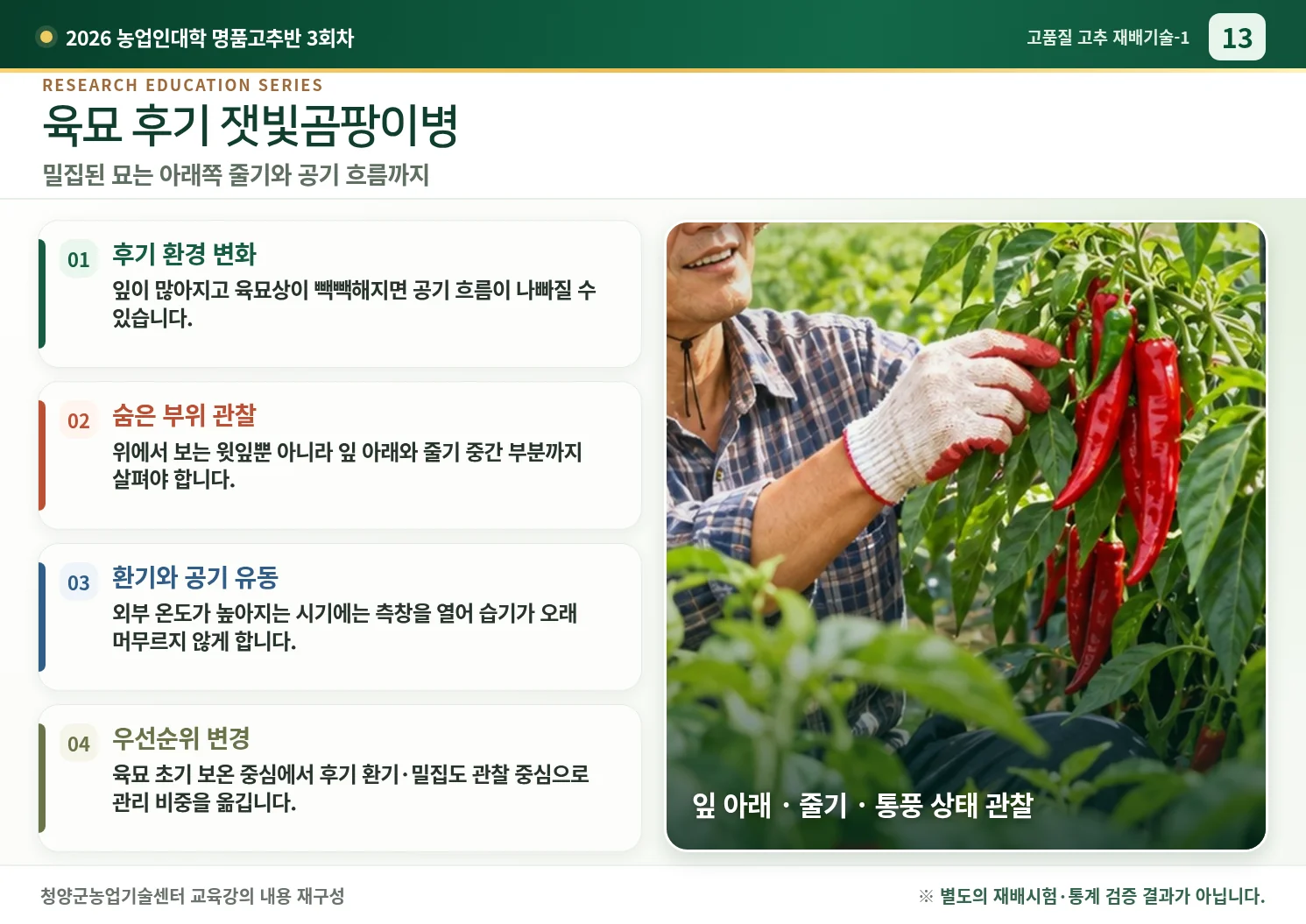 13_육묘후기_잿빛곰팡이병.webp