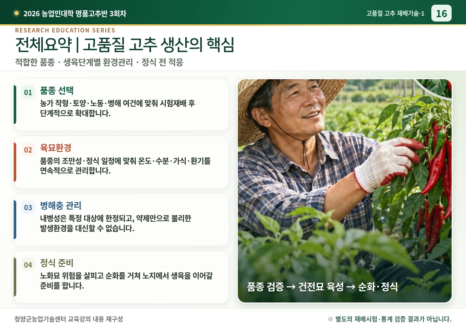 16_전체요약_고품질_고추생산.webp