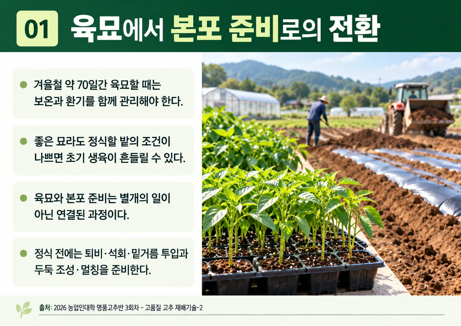 01_육묘에서-본포-준비로의-전환.webp