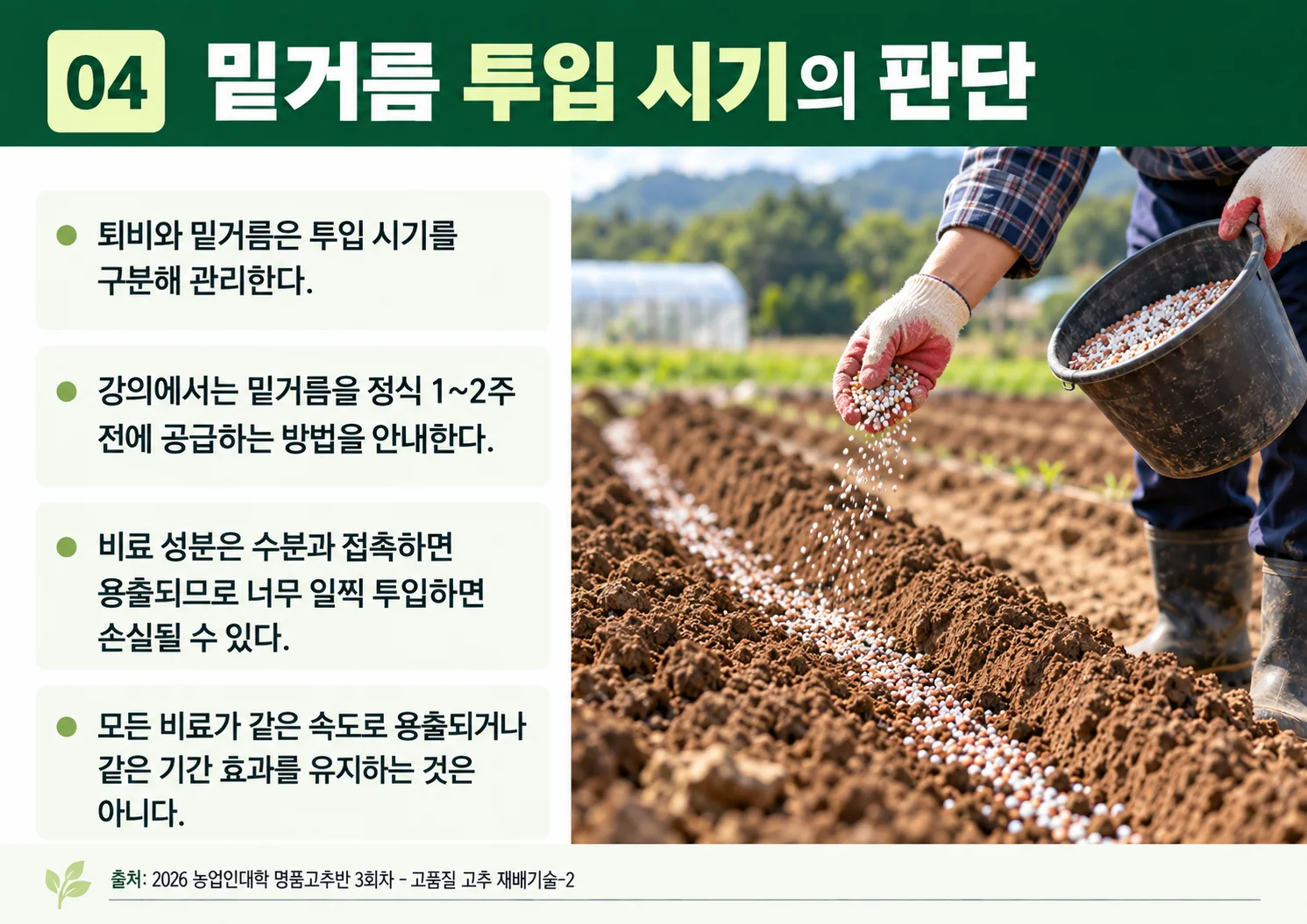 04_밑거름-투입-시기.webp
