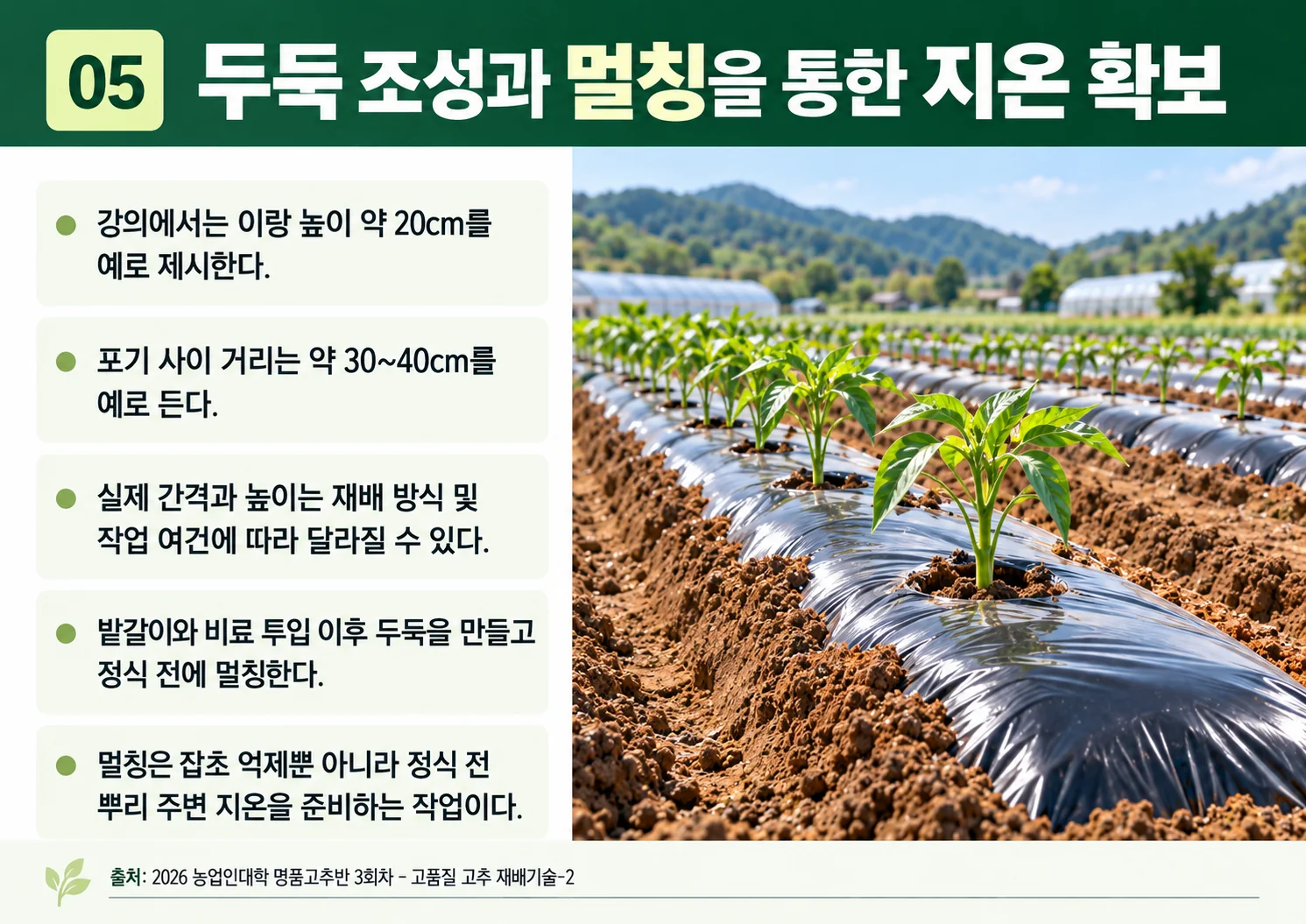05_두둑-조성과-멀칭.webp