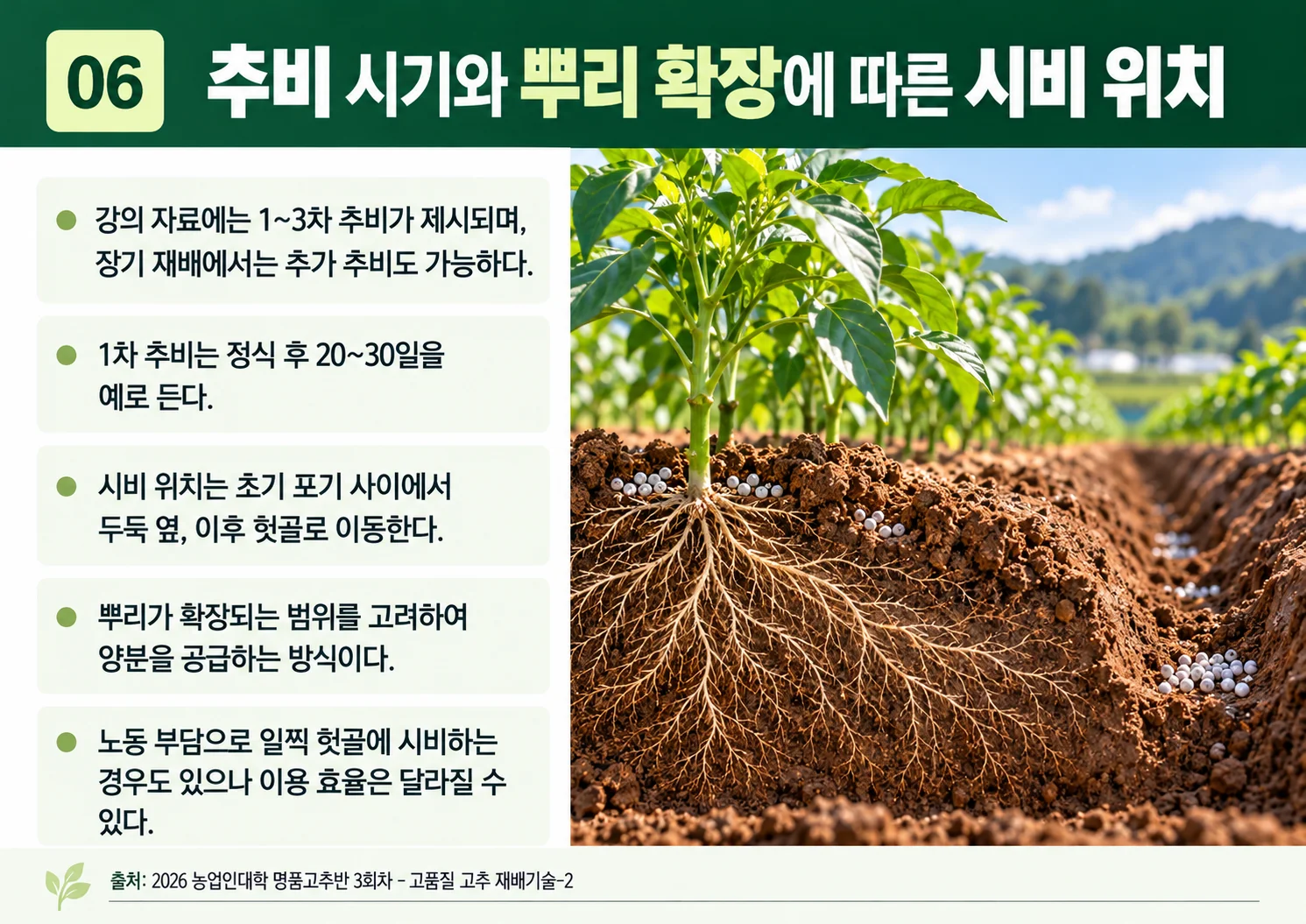 06_추비-시기와-시비-위치.webp